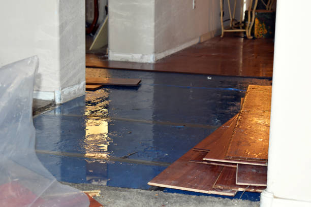 Professional Burst Pipe Cleanup technician working in Moody, TX